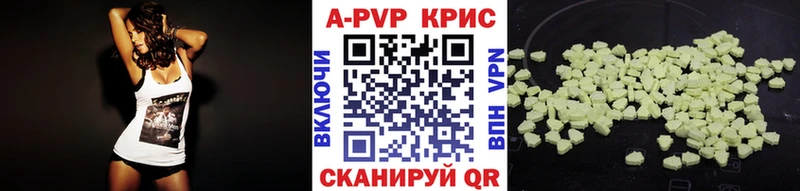 OMG как зайти  Суздаль  А ПВП СК 