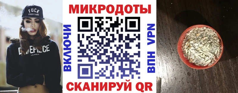 ссылка на мегу как войти  Суздаль  Псилоцибиновые грибы Psilocybine cubensis 