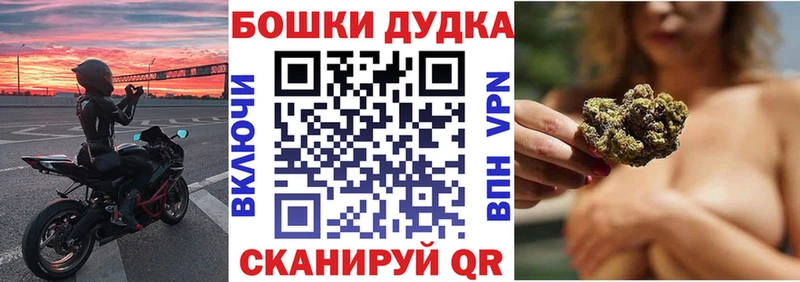 Каннабис планчик  Суздаль 